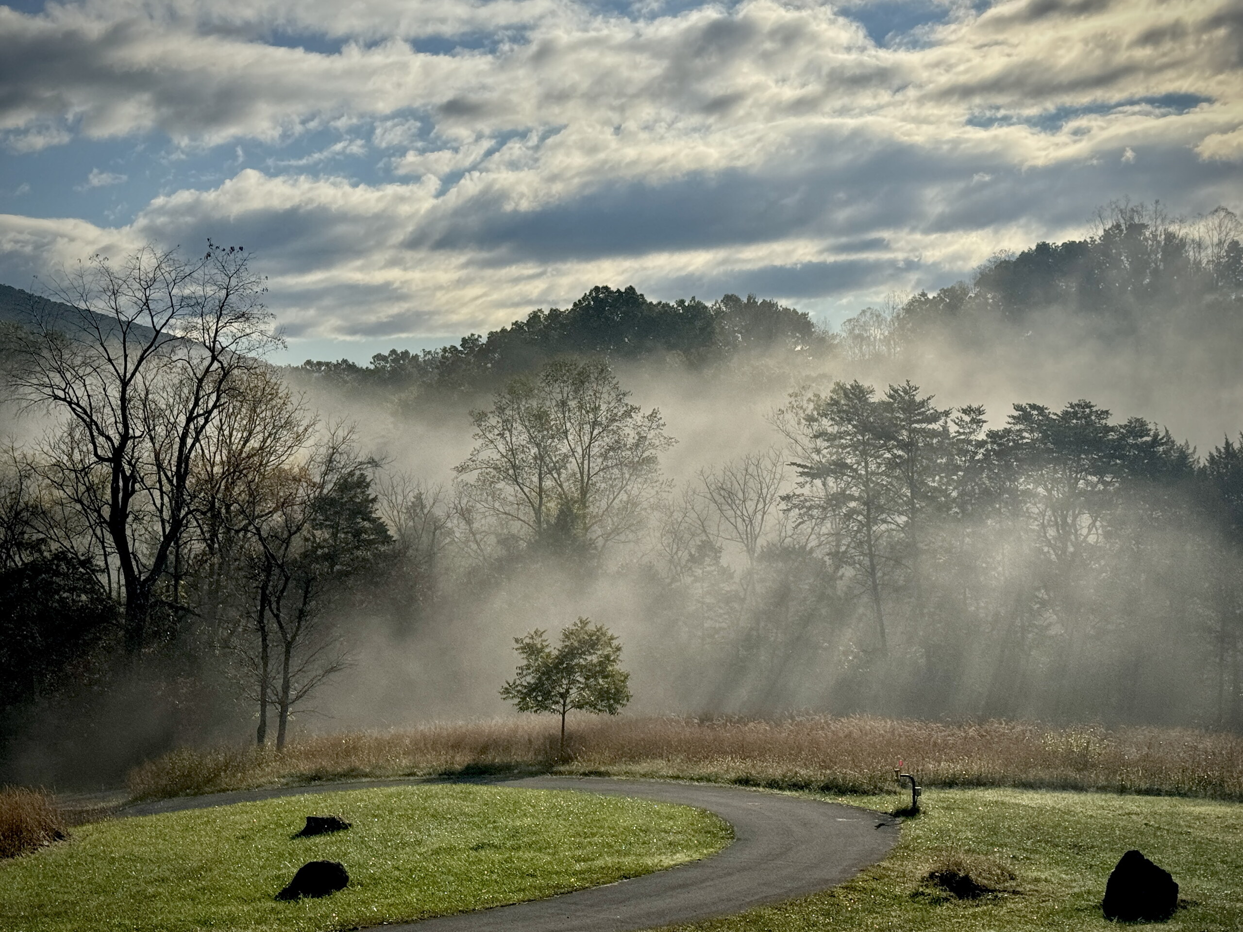 Into the Mist