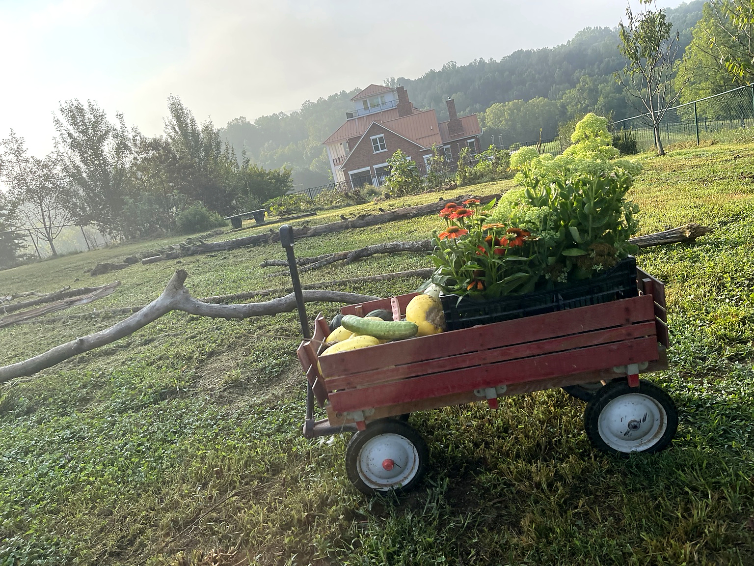 Garden Bounty