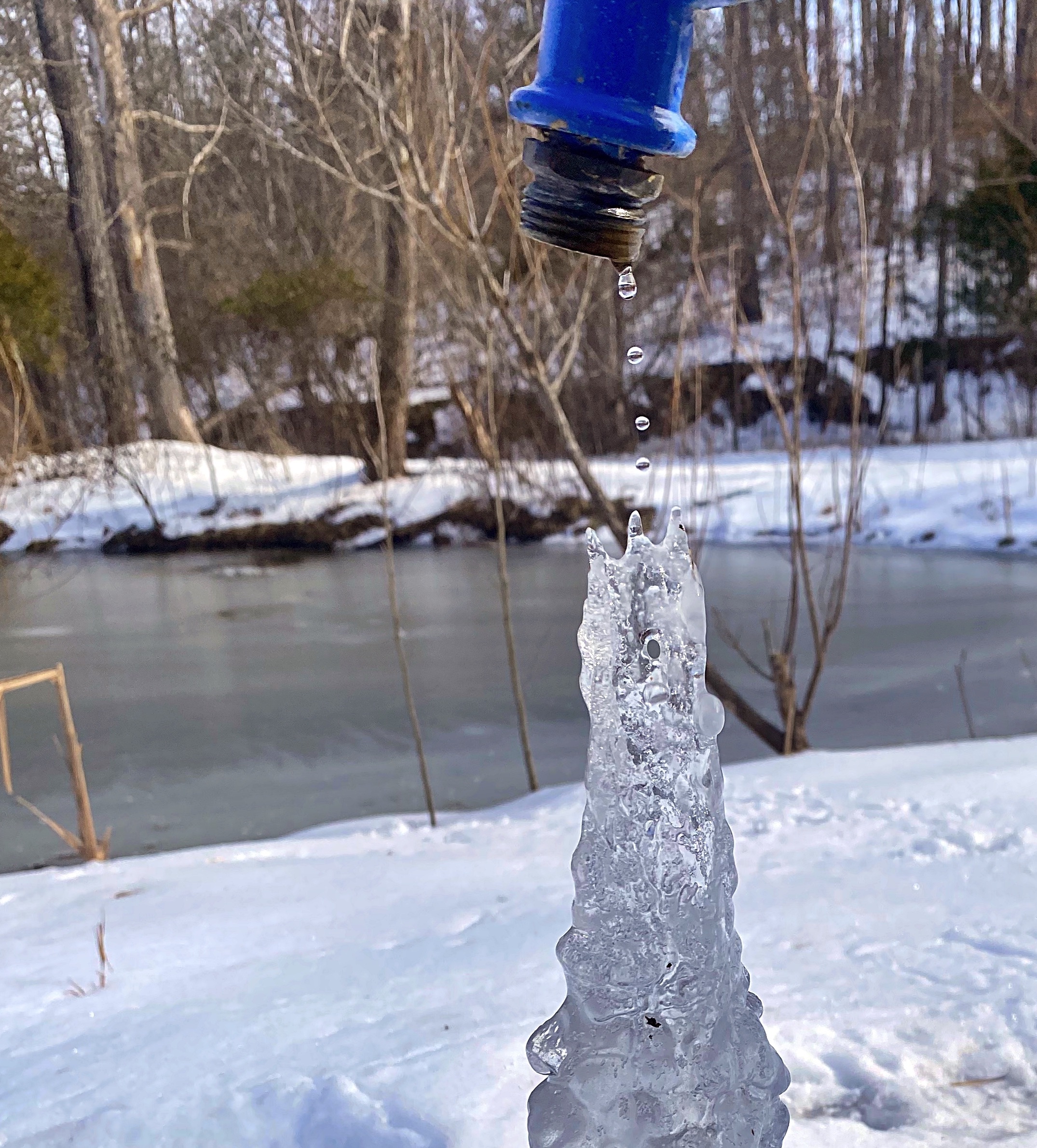 Frozen in Motion