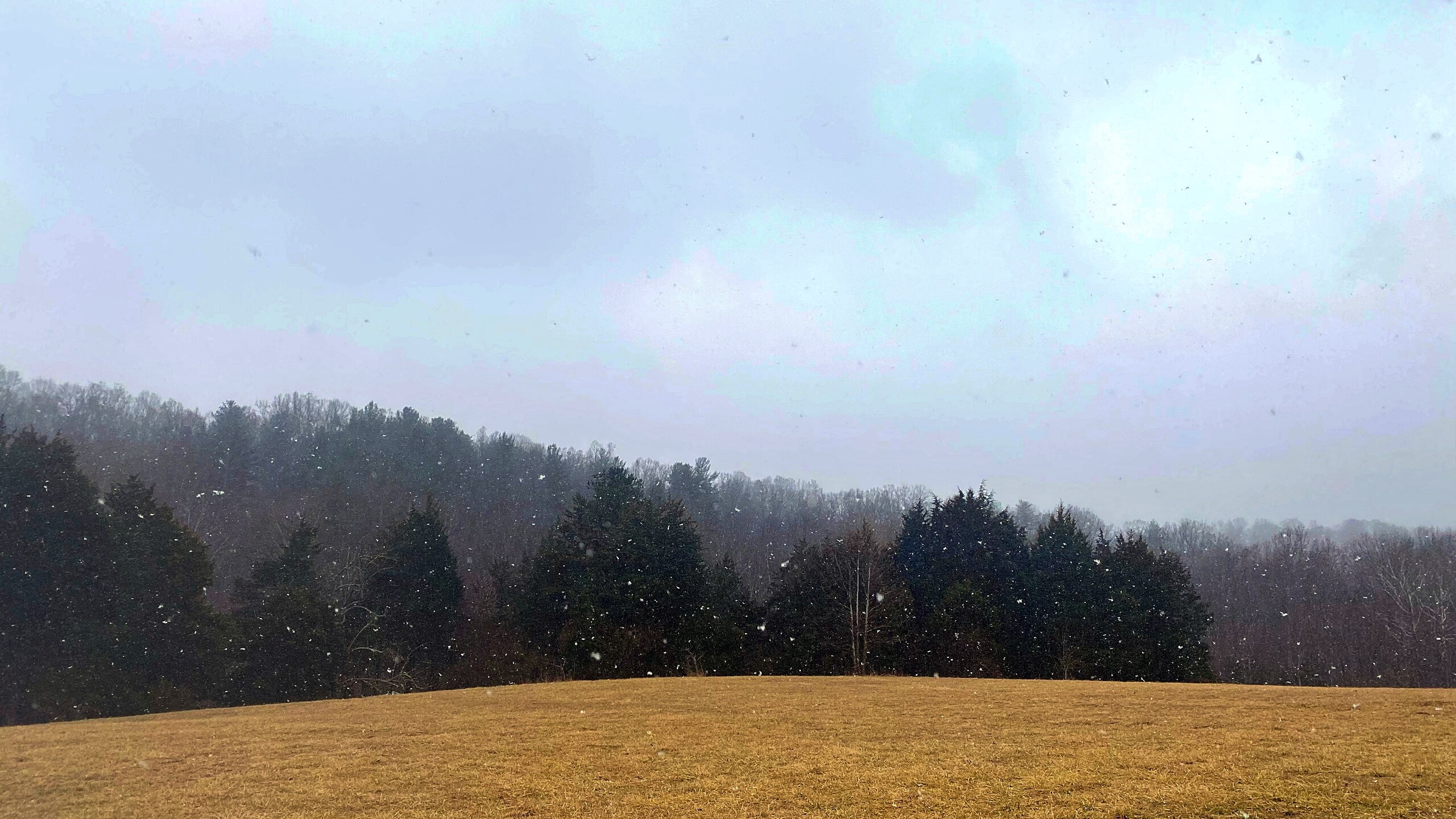 Winterfields