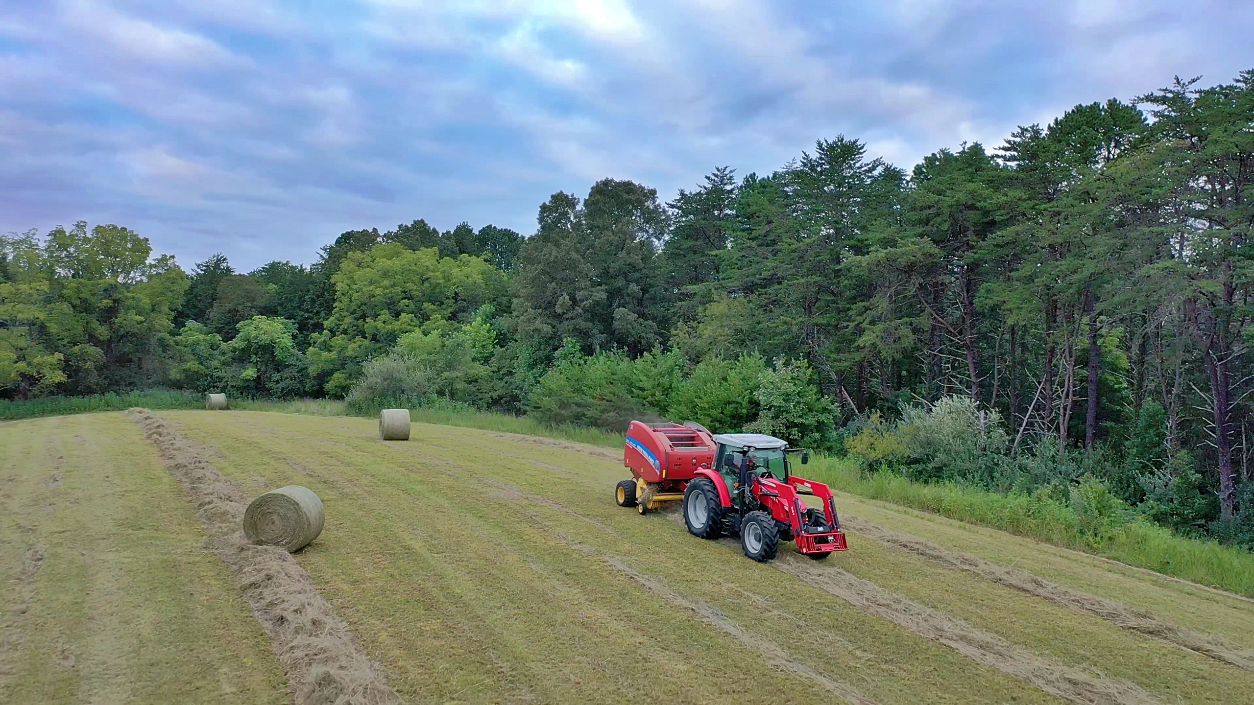 Haymaking at Arroway Manor